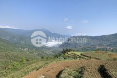 Bán mảnh đất 725m2 tại mò phú chải, lô đất dành cho nhà đầu tư thích làm home stay,giá siêu hấp dẫn