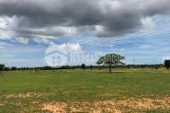 1 héc đất trồng cây, ngay gần đường quốc lộ 1a, giá 900 triệu đồng