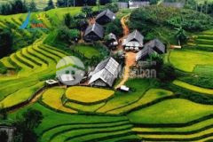 Bán gấp lấy tiền trả nợ đất thổ cư ở rừng thông bản áng