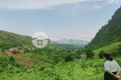 Bán đất kim bôi hòa bình view cao thoáng giá đầu tư.