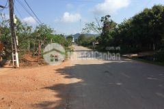 Bán mảnh đât tt mộc châu gần cửa khẩu lóng sập phù hợp dịch vụ kinh doanh