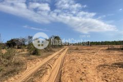 Lô đất trồng cây 12000m2 ngay ngã ba lương sơn, giá chỉ 110 nghìnm2, lh 0901.078.257