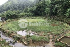 Bán mảnh đất 320m2 tại y tý, giá rẻ bất ngờ, chỉ vài trăm triệu dành cho nhà đầu tư nhanh tay