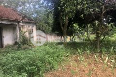 Chính chủ em cần bán 3600m2 đất tại hòa sơn, lương sơn, hòa bình,giá chỉ 3 triệum2.