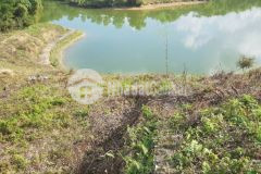 Bán đất nghỉ dưỡng bàm hồ giá đầu tư mùa covid tại cư yên, lương sơn, hoà bình