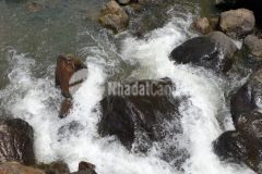 Trang trại nghỉ dưỡng suối bao quanh 22ha chỉ 4,6 tỷ kimbôi hoà bình