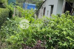 Đất kiệt điện biên phủ tp đông hà giá chỉ 645tr