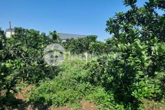 Bán đất cao phong hòa bình dt 6666m² có 400m² thổ cư, còn lại là đất vườn.