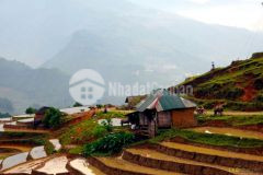 Bán mảnh đất 532m2 ở y tý có view ruộng bậc thang và rừng già