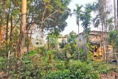 Đất mặt tiền kiệt lê ngô cát thuỷ xuân. cách đường chính chỉ