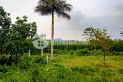 Bán đất cư yên lương sơn hòa bình giá rẻ.