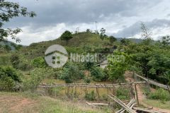 Bán mảnh đất 1,7ha tại mường sang,mặt đường quốc lộ, giá chỉ 1xx tỷ