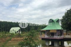 Bán homestay cực lớn chỉ 14 tỷ nghỉ dưỡng và vườn trái cây giá rẻ