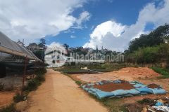 Cần bán nền đất đường ô tô vào tận nơi. đường 3 tháng 4, đà lạt diện tích 68m2 4x16 đường 3,5m bằ