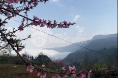 Bán mảnh đất 2500m2 tại sapa2, phù hợp với nhà đầu tư thích kinh doanh homestay