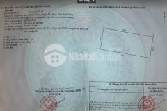 Diện tích 3743m2 đất trồng cây hòa thắng với giá 562 triệu đồng, liên hệ 0901.078.257