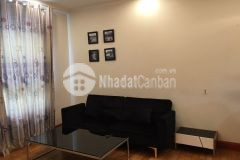 Cho thuê căn hộ đầy đủ nội thất, gần trường học quốc tế