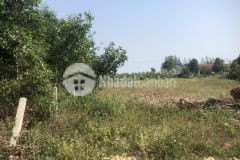 Bán đất khu vực phan xá cam thành cam lộ