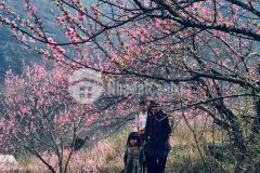 Bán nhanh mảnh đất thôn phìn hồ view hướng hồ 22ha,khu tt hành chính huyện y tý