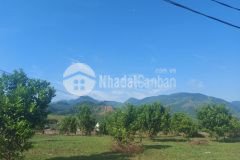 Bán đất cao phong hòa bình dt 2909m2 full thổ cư