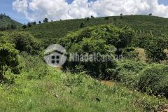 Bán đất vườn chính chủ 1ha2 xã đạk nàng huyện đam rông giá 2.5 tỷ