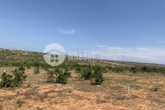 4000m2 mặt tiền đường liên huyện, giá 640 triệu đồng, lh 0901.078.257