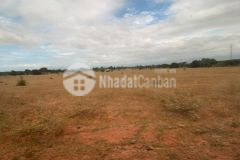 Chính chủ chuyển nhà cần sang nhượng nhanh lô đất giá rẻ xã phan hiệp bình thuận