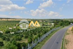 Đất vườn gần biển bình thuận, đã có sổ, pháp lý rõ ràng