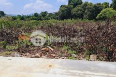 Bán 832m2 đất có 300m2 thổ cư, trung tâm xã đông thanh lâm hà lâm đồng