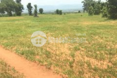 Chính chủ cần tiền bán bán nhanh lô đất giá rẻ xã hồng thái