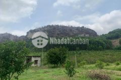 Bán đất lạc thủy hòa bình 49150m2 có 800ont