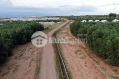 Bán đất cây lâu năm hoà thắng cạnh trang trại dưa lưới có sẵn điện nước chỉ 561tr lh 0938677909