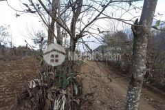 Bán mảnh đất 900m2 trung tâm sapa2, giá mùa covid