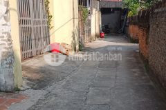 Em có mảnh đất đẹp ngõ ô tô trên 240m2 ở ngọc lịch muốn bán. liên hệ 0835459289