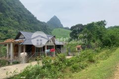 Bán đất kim bôi hòa bình đất rsx có thổ cư dt 34000m2