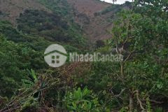 Dịch covid bán gấp đất đang đầu tư tân nghĩa, lagi 14 mẫu 5 tỷ