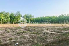 Bán đất sốt tại bình phước.