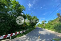 Bán đất mặt tiền tỉnh lộ 2 làm homestay rất đẹp lh 0788.558.552