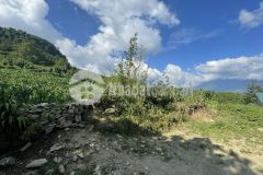 Bán nhanh mảnh đất y tý sapa2 đường to,mặt tiền rộng,phù hợp làm homestay,resort...