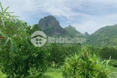 Bán đất cao phong hòa bình dt 4000m2000 thổ cư.