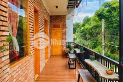 Kinh doanh liền tay hostel 12 phòng phong cách độc lạ mặt tiền đường nhựa lê văn tám