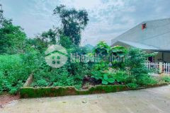 Bán nhanh đất kiệt ô tô phan kế bính giá 1 tỷ 4xx lh 0346.229.509