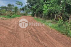 Đất đầu tư thanh lương, bình long, bình phước