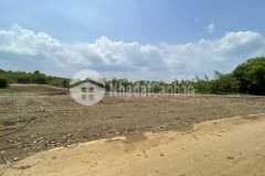 Thanh lý đất vườn bình phước giá cực rẻ