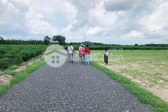 Đất nền đầu tư lý tưởng nhất 2021 sổ hồng riêng từng nền