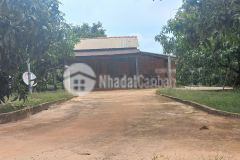 Cần bán đất vườn xoài bưởi.có nhà cấp 4