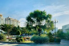 Căn hộ duy nhất mặt tiền biển aria vũng tàu. giá gốc từ chủ đầu tư 2ty687m2