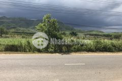 Bán đất mặt tiền đường nhựa làm trang trại nhà vườn mặt tiền 90m giá rẻ