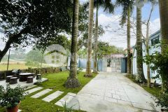 Dịnh bệnh hoành hành ngày càng phức tạp các bác có nơi nào trốn chưa