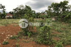 Mở bán dự án green life tại cùa cam lộ quảng trị 0941076225